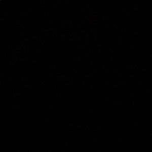 Meet your Posher, Wilmer